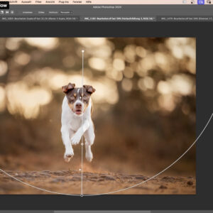 Komm behind the scenes - Lerne alles über meinen Kundenworkflow & schau mir bei einem gesamten Shooting - vom Shooting bis zu den fertigen Bildern - über die Schulter! [Digital] – Bild 3