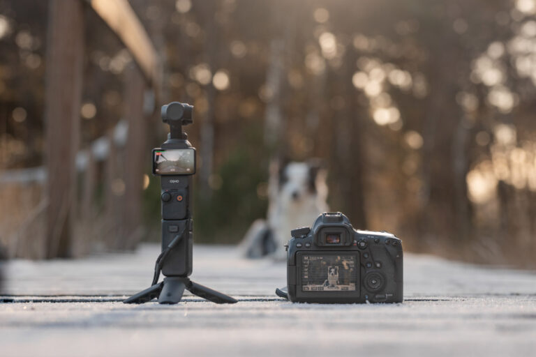 Mein Equipment, setup & alles, was ich für meine Selbstständigkeit als Hundefotografin nutze