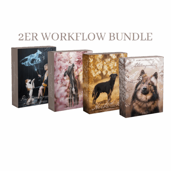 Bearbeitungsworkflows 2er Bundle! [Digital]