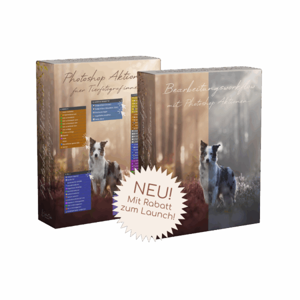 BUNDLE Photoshop Aktionen + Bearbeitungsworkflow mit meinen Photoshop Aktionen [Digital]
