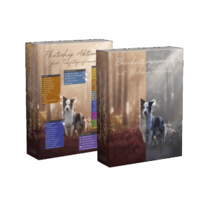BUNDLE Photoshop Aktionen + Bearbeitungsworkflow mit meinen Photoshop Aktionen [Digital]