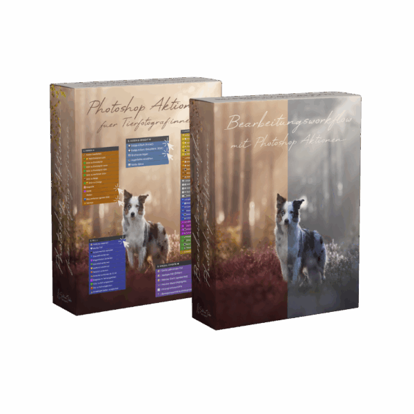 BUNDLE Photoshop Aktionen + Bearbeitungsworkflow mit meinen Photoshop Aktionen [Digital]
