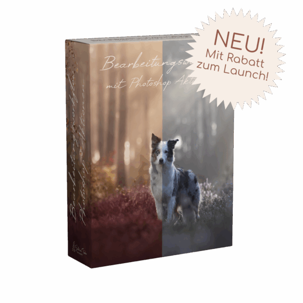 Mein Bearbeitungsworkflow mit meinen Photoshop Aktionen [Digital]