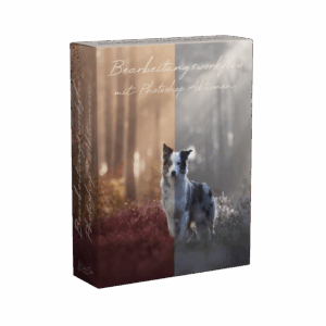 Mein Bearbeitungsworkflow mit meinen Photoshop Aktionen [Digital]