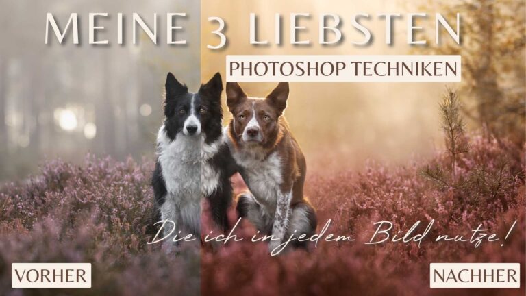 MEINE 3 LIEBSTEN PHOTOSHOP-TECHNIKEN FÜR MAGISCHE HUNDEFOTOS