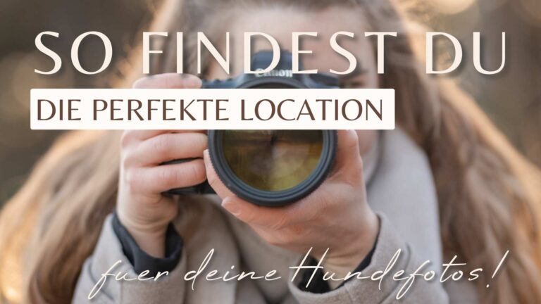 Locations für deine Hundefotos finden