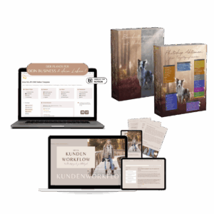 Black Friday Produktivitätsbundle