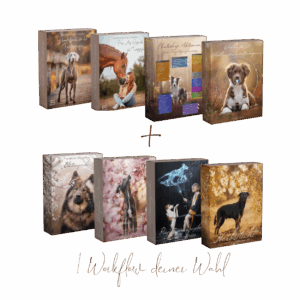 Black Friday Bearbeitungsbundle