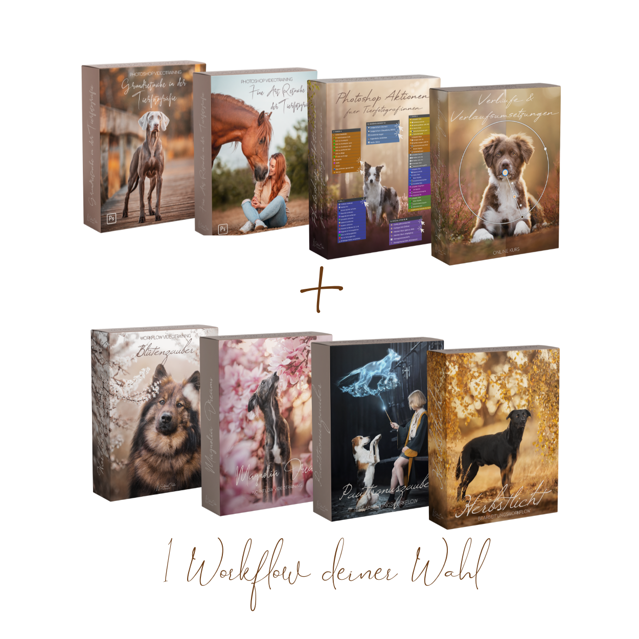 Black Friday Bearbeitungsbundle