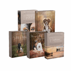 Black Friday Besondere Momente Bundle