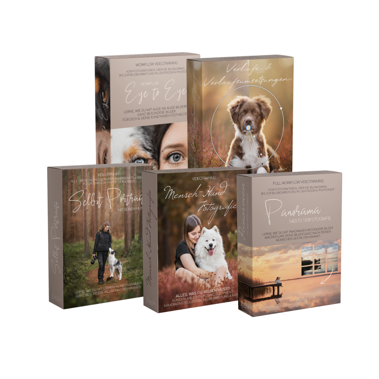 Black Friday Besondere Momente Bundle