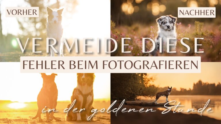 fotografieren im gegenlicht – so geht’s