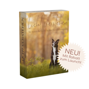 !NEU! Licht verstehen - So nutzt du Licht in der Hundefotografie [Digital]